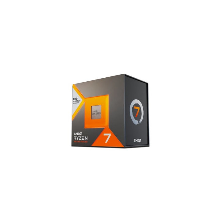  AMD