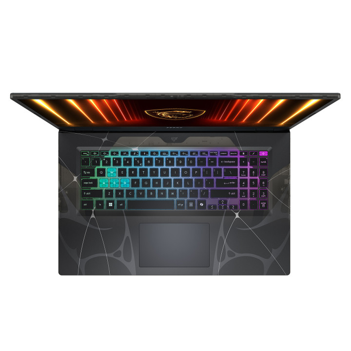  MSI