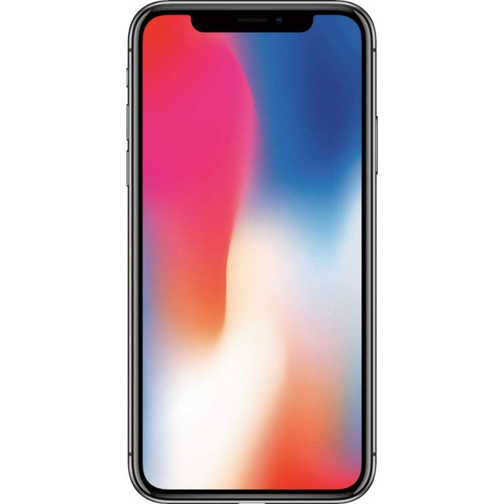 iPhone X