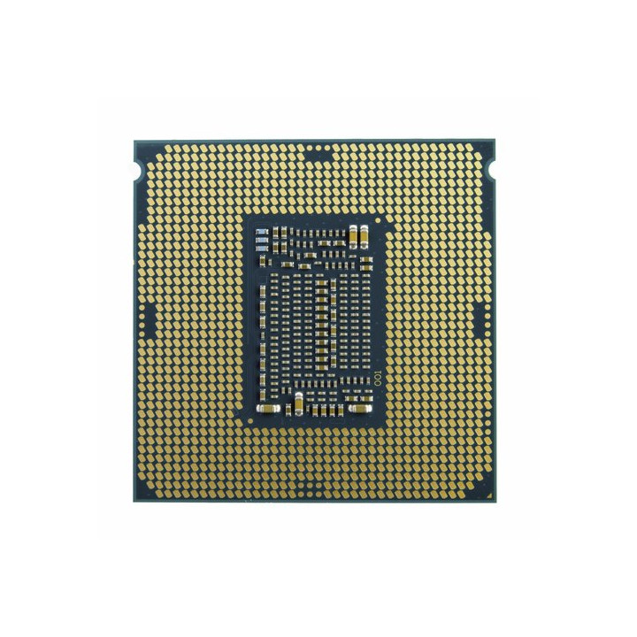  Intel