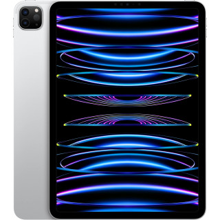 iPad Pro 4 (2020) 11.0